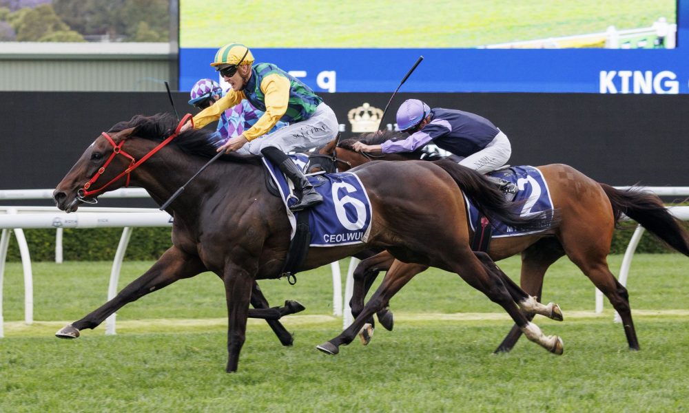 通过详细解 通过详细解